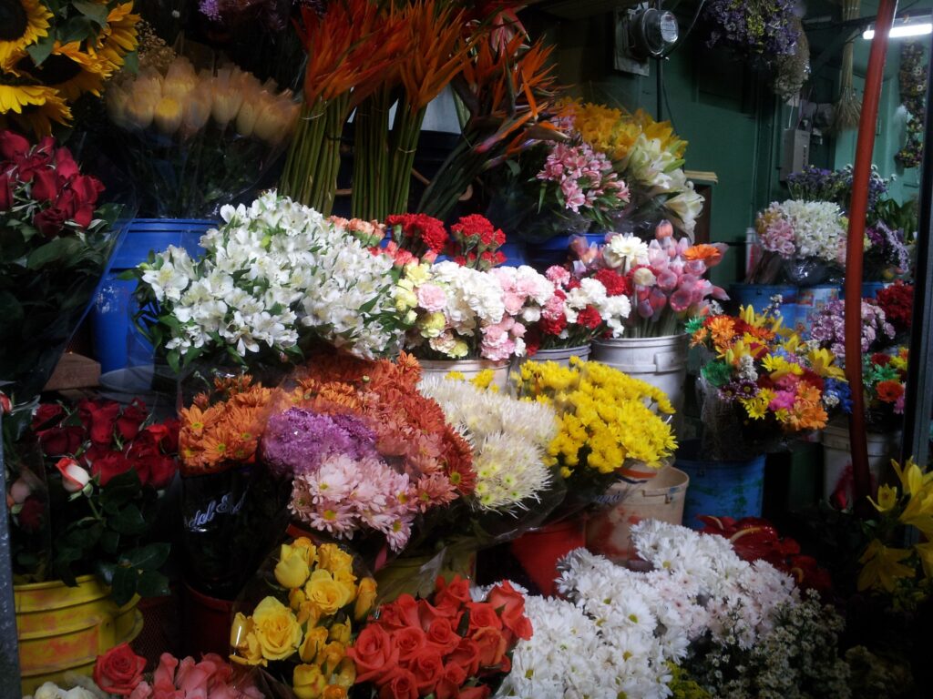 Flower Market near Escobal Costa Rica